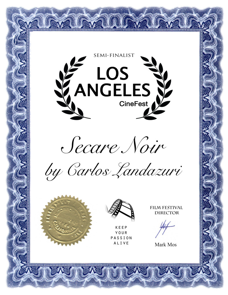 Title- Secare Noir Name- Carlos Landazuri